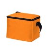 Non-Woven Cooler Bag