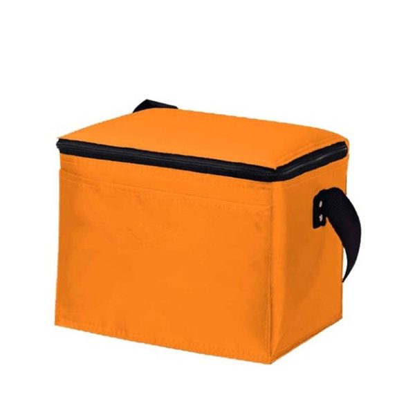 Non-Woven Cooler Bag