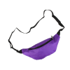 Waterproof Belt Bag