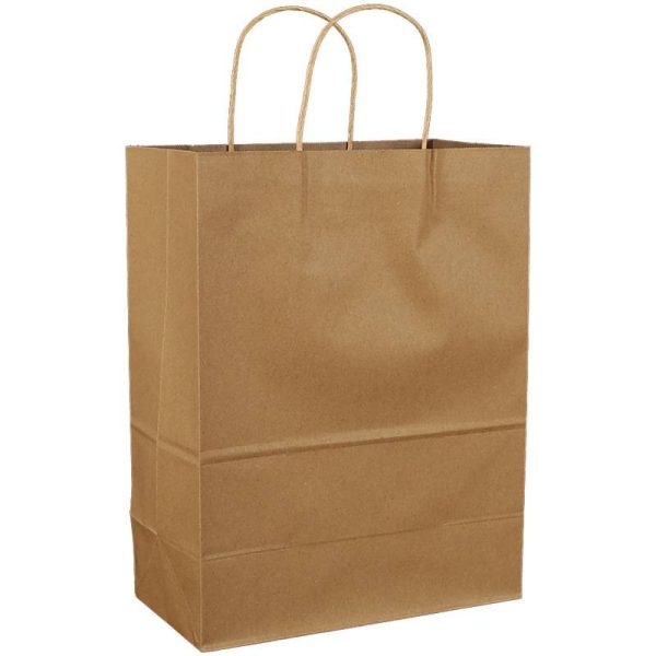 Customized Kraft Paper Gift Bag