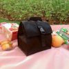 Oxford Collapsible Insulated Lunchbag