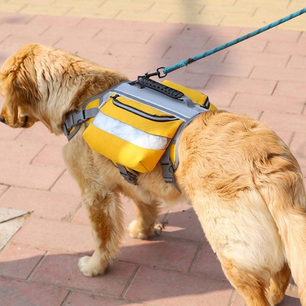 Pet From The Backpack