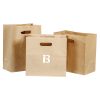 2579ca14-8d7e-45ce-87ed-f3a874a98db6_GH195-JG.jpg 11x6x11 Kraft Paper Takeout Bag