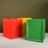 PP Woven Velcro Coated Color Printed Shopping Tote Bag