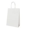 Customized Kraft Paper Gift Bag