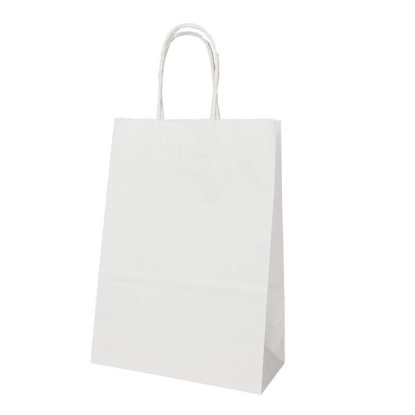 Customized Kraft Paper Gift Bag