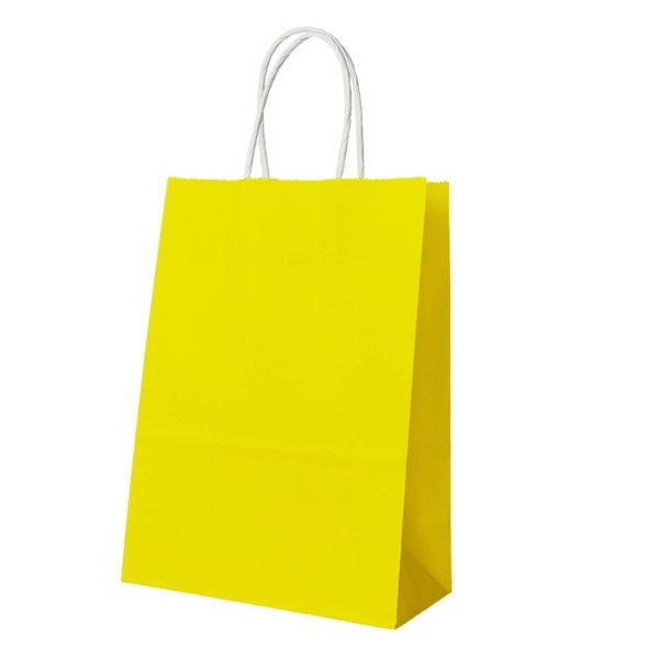 Customized Kraft Paper Gift Bag
