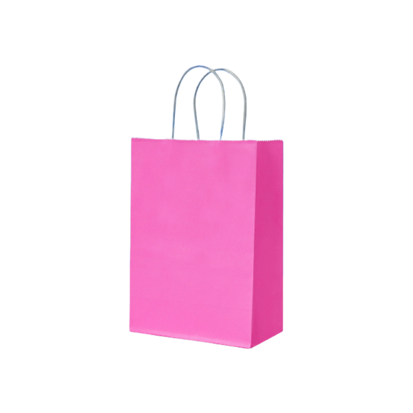 Reusable hand-held kraft paper bag