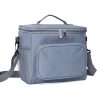 Portable Oxford Insulated Bag