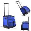 Wheels Rolling Picnic Cooler Bag
