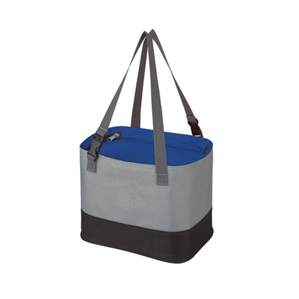 Large Insulated Lunch Bag