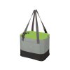 Large Insulated Lunch Bag