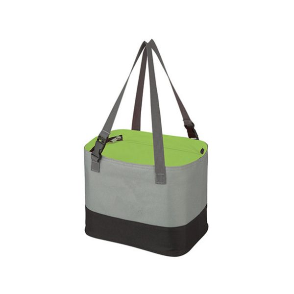 Large Insulated Lunch Bag