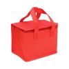 Non-woven Insulation Bag