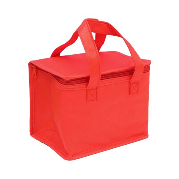 Non-woven Insulation Bag