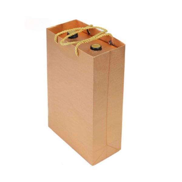 Portable Paper Gift Bag