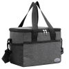 Large Insulated Lunch Bag