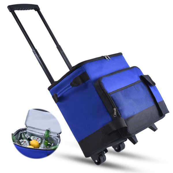 43L Insulated Cooler Bag