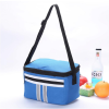 Mini Travel Cooler Tote Bag
