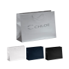 Matte Retail Bag