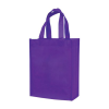 Small Laminated Tote Bag