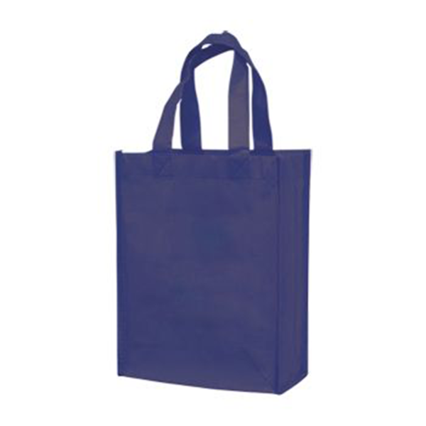 Small Laminated Tote Bag
