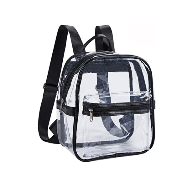 Mini Clear Backpack
