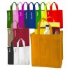 Non Woven Shopping Tote Bag