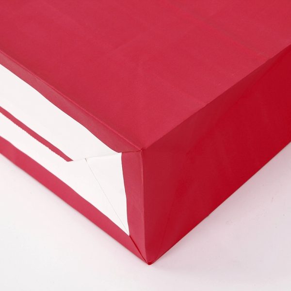 Colored Kraft Bags