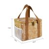 Reusable Waterproof Insulated Cooler Freezable Lunch Bag