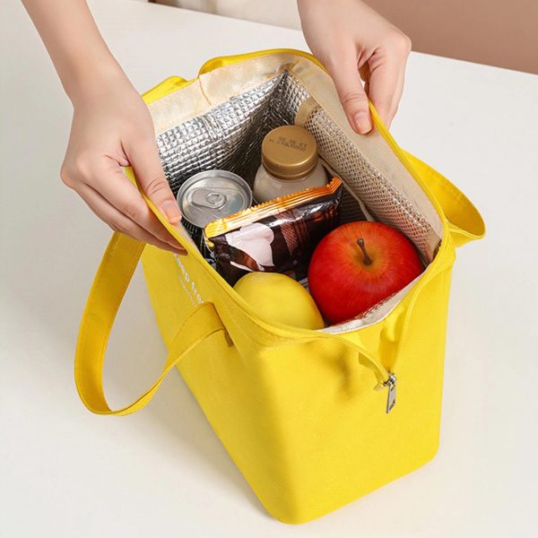 Insulated Waterproof Lunch Tote Bag