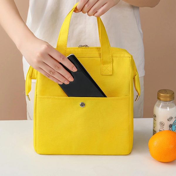 Insulated Waterproof Lunch Tote Bag