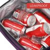 Dual Duty Lunch Cooler bag