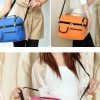 Dual Duty Lunch Cooler bag
