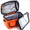 Dual Duty Lunch Cooler bag