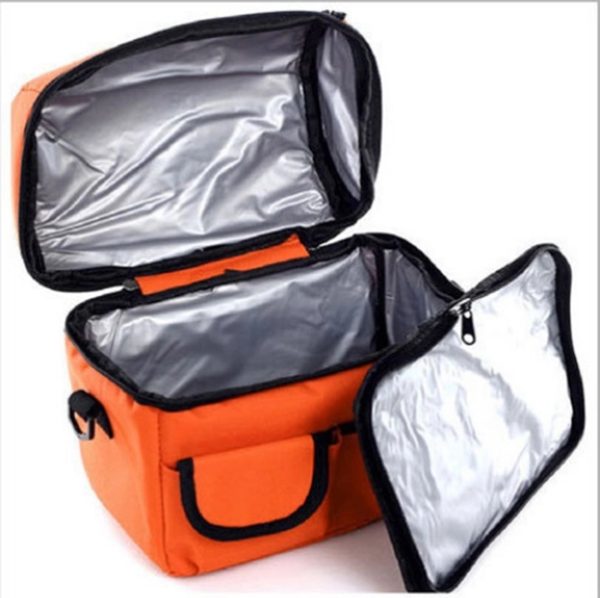 Dual Duty Lunch Cooler bag