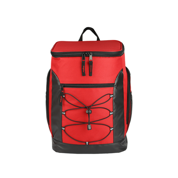 Insulated Cooler Backpack Leakproof Bag