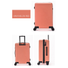 20" Rolling Duffel Luggage