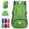 Large Capacity Foldable Lightweight Backpack
