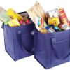 Insulated Lunch Bag
