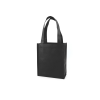 Non-woven Gift Bag