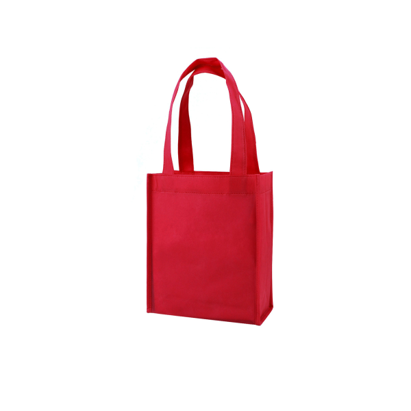 Non-woven Gift Bag