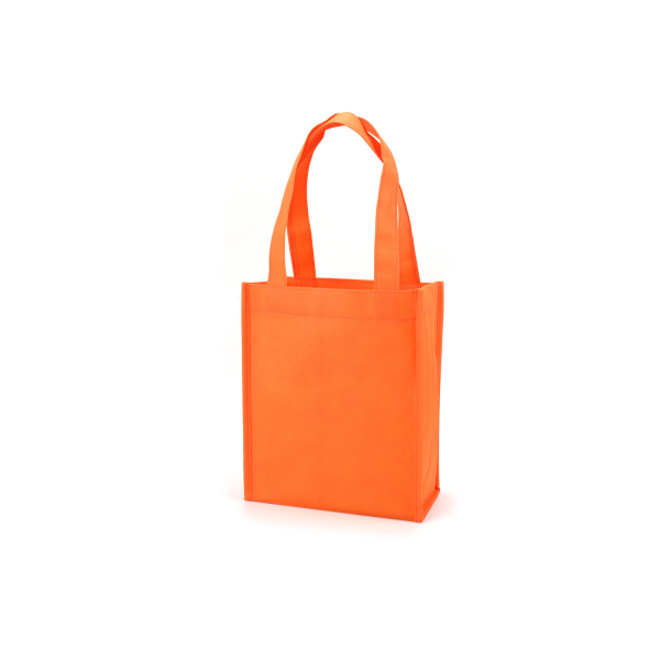 Non-woven Gift Bag