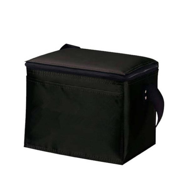 Non-Woven Cooler Bag