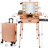 371d0b20-053f-4676-b430-fbde09c19f6c_5.jpg LED Pull Rod Makeup Train Case