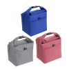Bellevue Insulated Lunch Bag