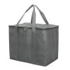 Insulated Cooler Tote Bag