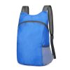 Travel Collapsible Daypack