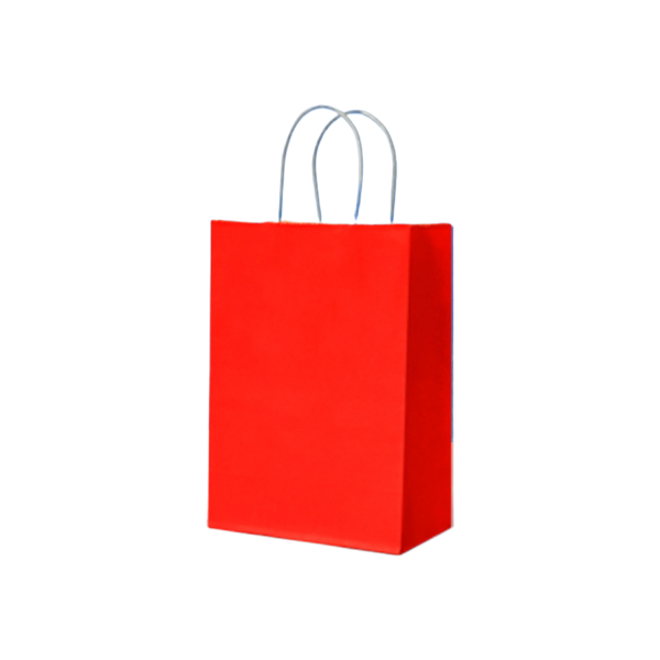 Reusable hand-held kraft paper bag