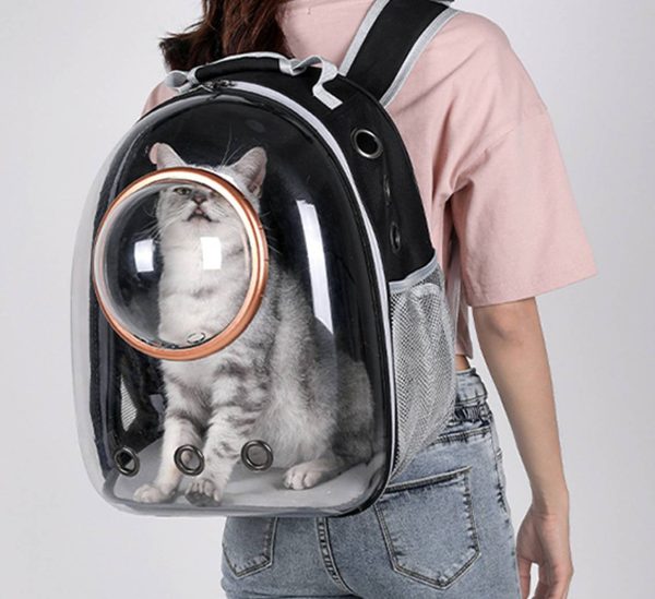 Transparent Pet Backpack